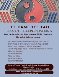 cami tao web