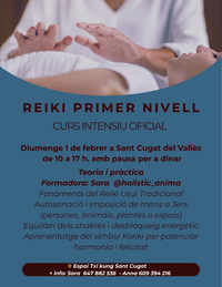 reiki febrer 25 web